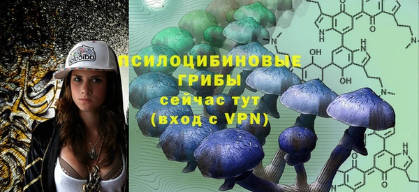 молекула духа Лиски