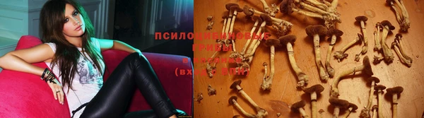молекула духа Лиски