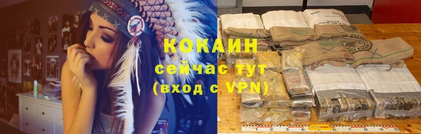 молекула духа Лиски